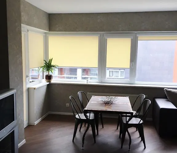 Apartament Birutes 22